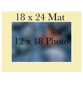 12 x 18 Print, Matted