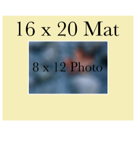 8 x 12 Print, Matted